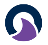 Orcaa ai Logo